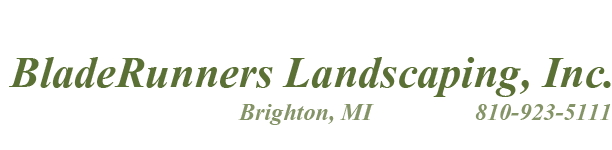 Landscape Design Landscaping Design Landscaping Ideas Front Yard Landscaping Back Yard Landscaping specialists in and about Brighton, Howell, Fowlerville, Pinckney and all of Livingston County and Oakland County